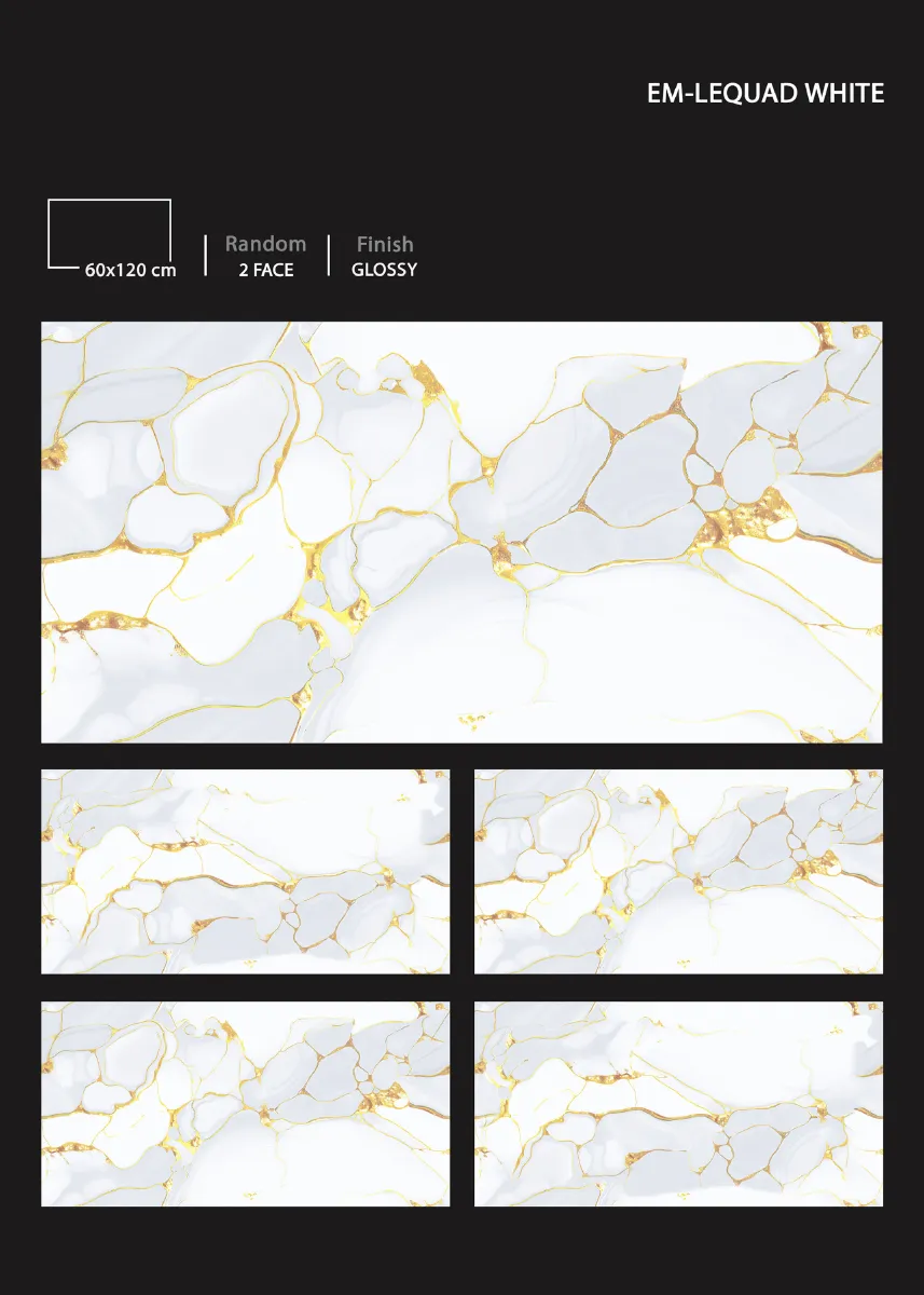 1 8 24 NEW DEVLOPMENT - Design 38 - 600x1200mm Glossy