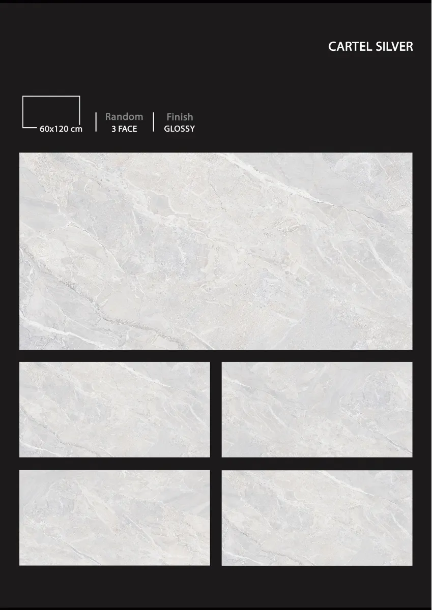 1 9 24 NEW DEVLOPMENT - Design 4 - 600x1200mm Glossy