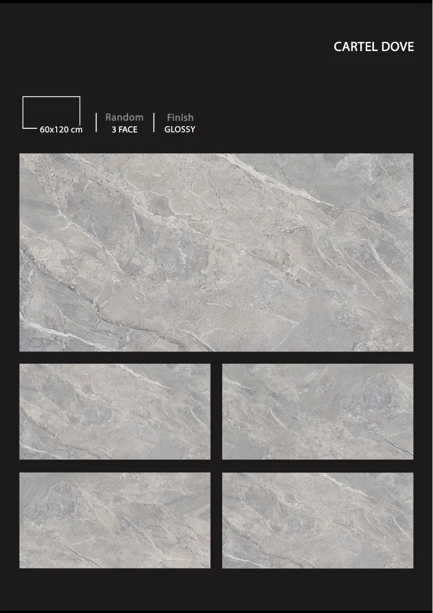 1 9 24 NEW DEVLOPMENT - Design 5 - 600x1200mm Glossy