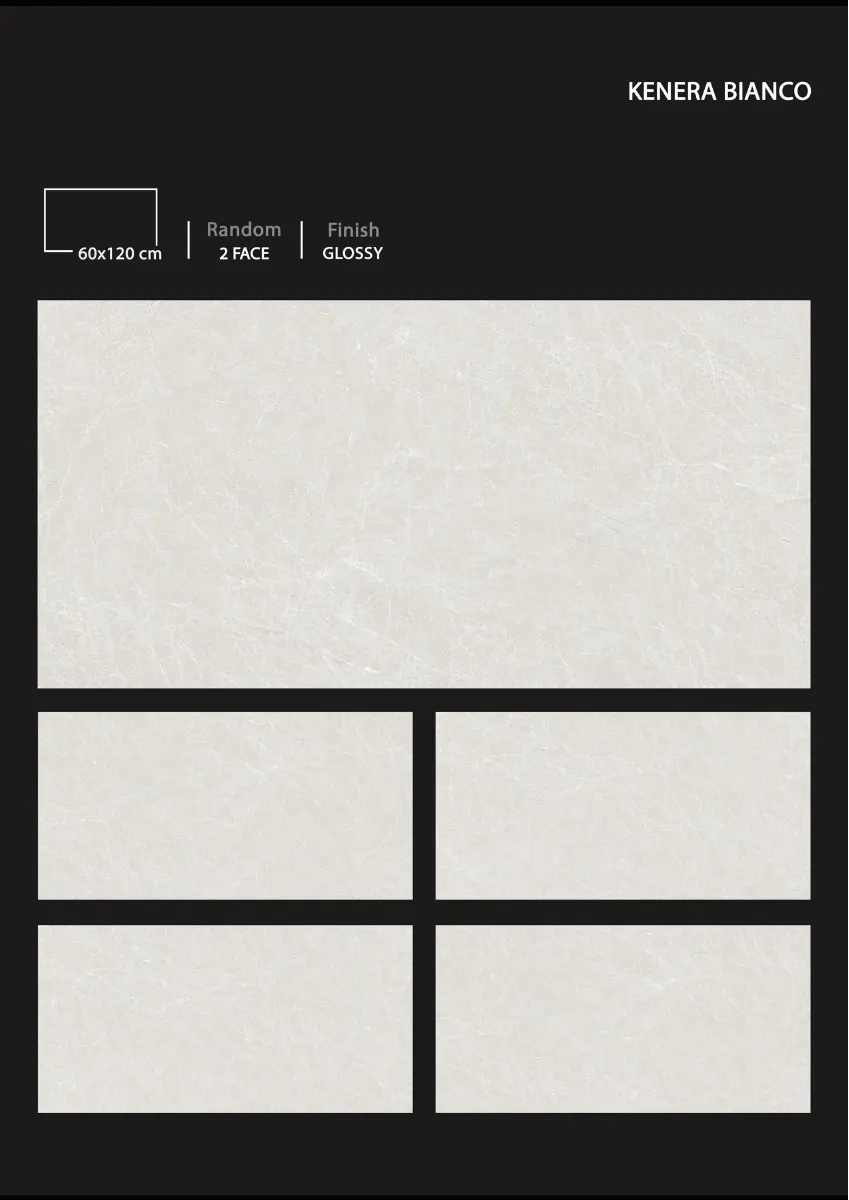 1 9 24 NEW DEVLOPMENT - Design 20 - 600x1200mm Glossy