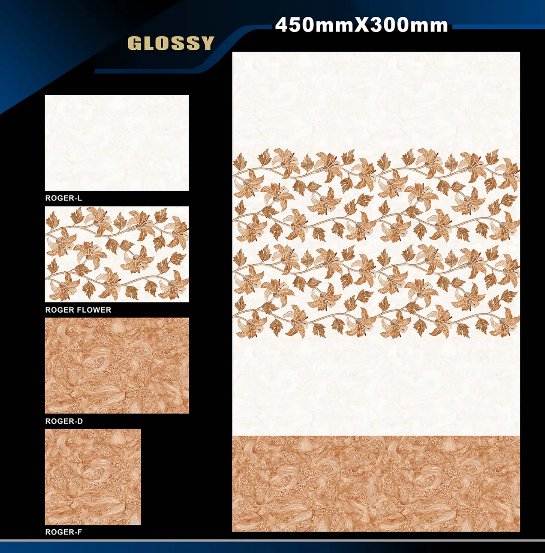 12 X 18 Glossy Hank To Romania - Design 66 - 300x450mm Glossy