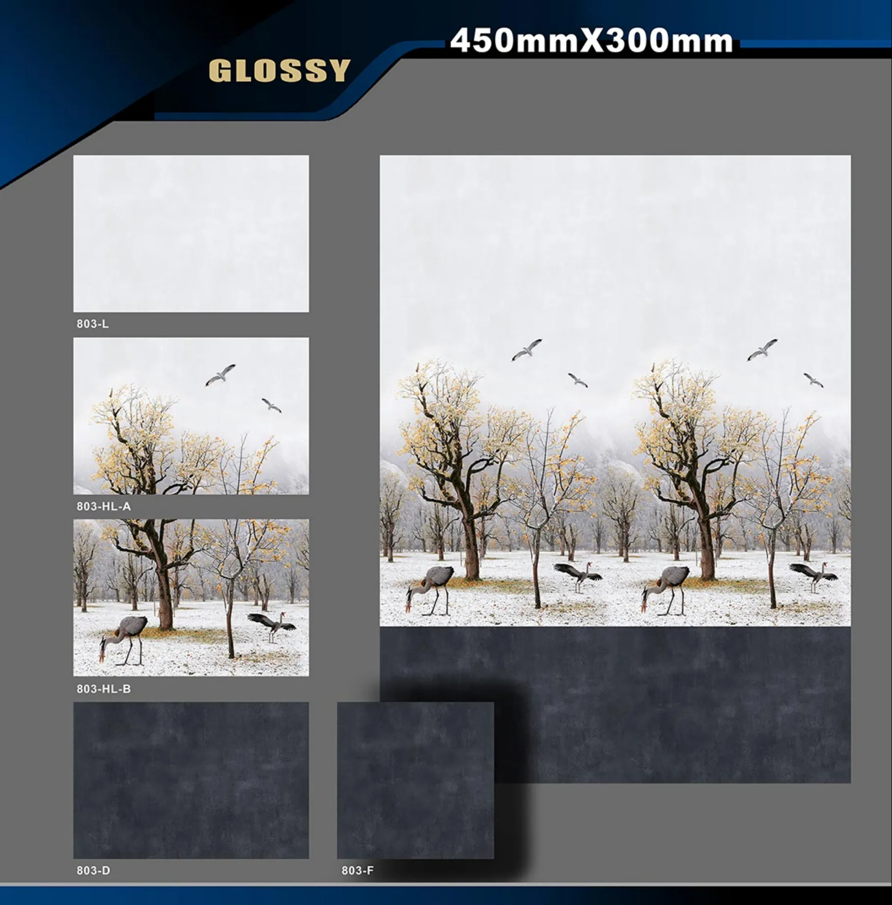 12 X 18 Glossy Poster - Design 63 - 300x450mm Glossy