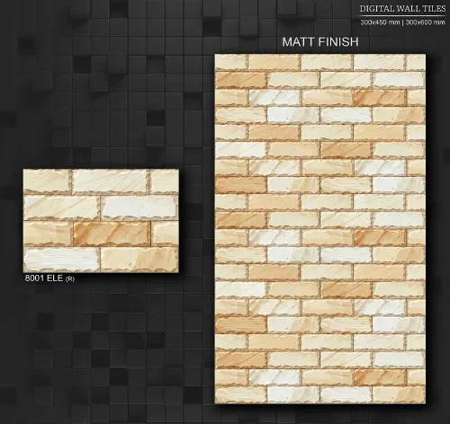 12X18 ELE MATT 1