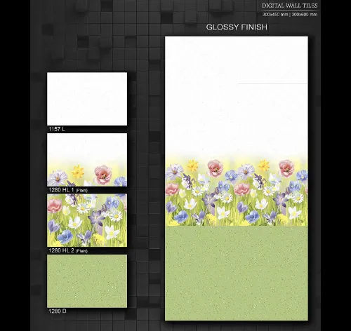 12X18 GLOSSY 5 Page 11