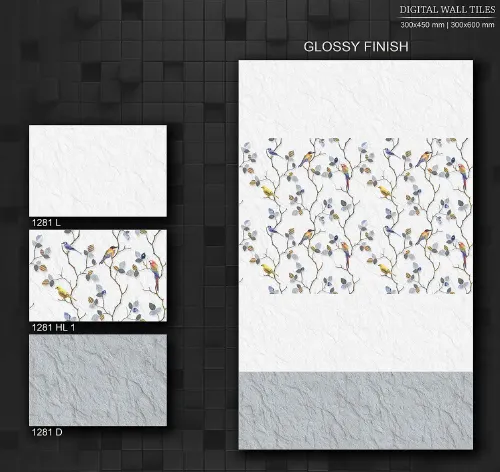 12X18 GLOSSY 5 Page 12