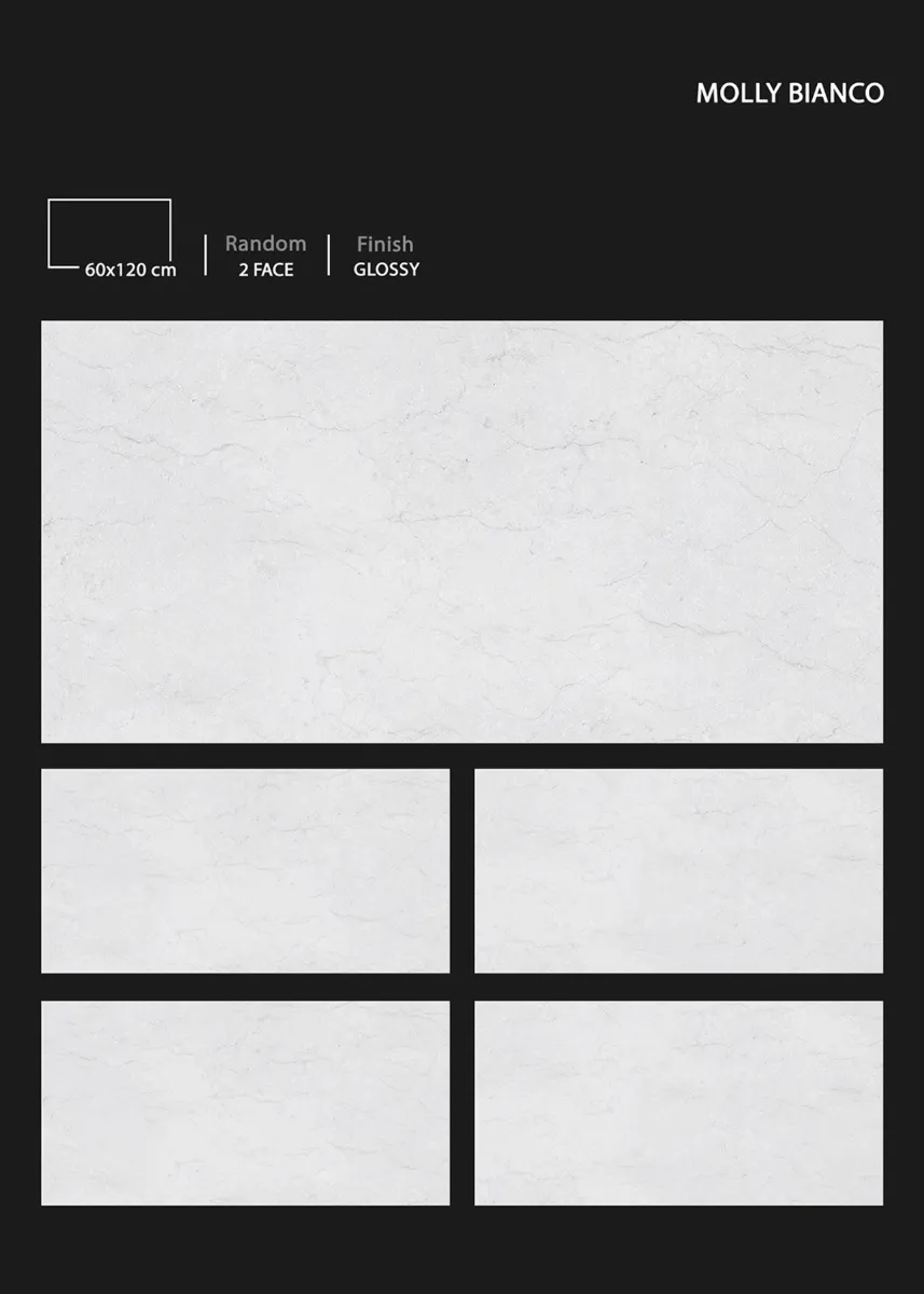 GLOSSY 60X120cm - Design 61 - 600x1200mm Glossy
