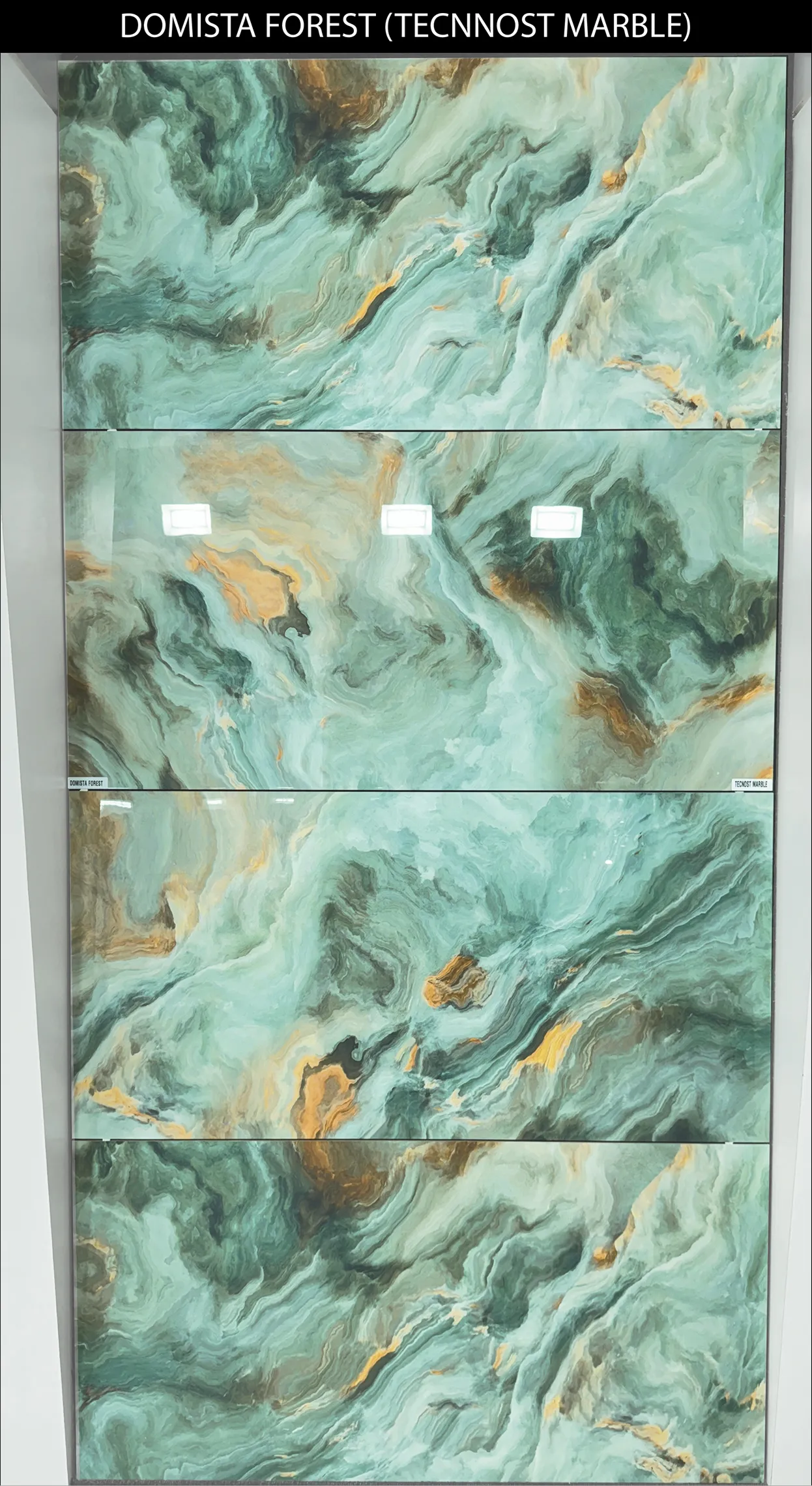 LIVE PHOTO (NEW COLLECTION) - Design 1 - 600x1200mm Glossy