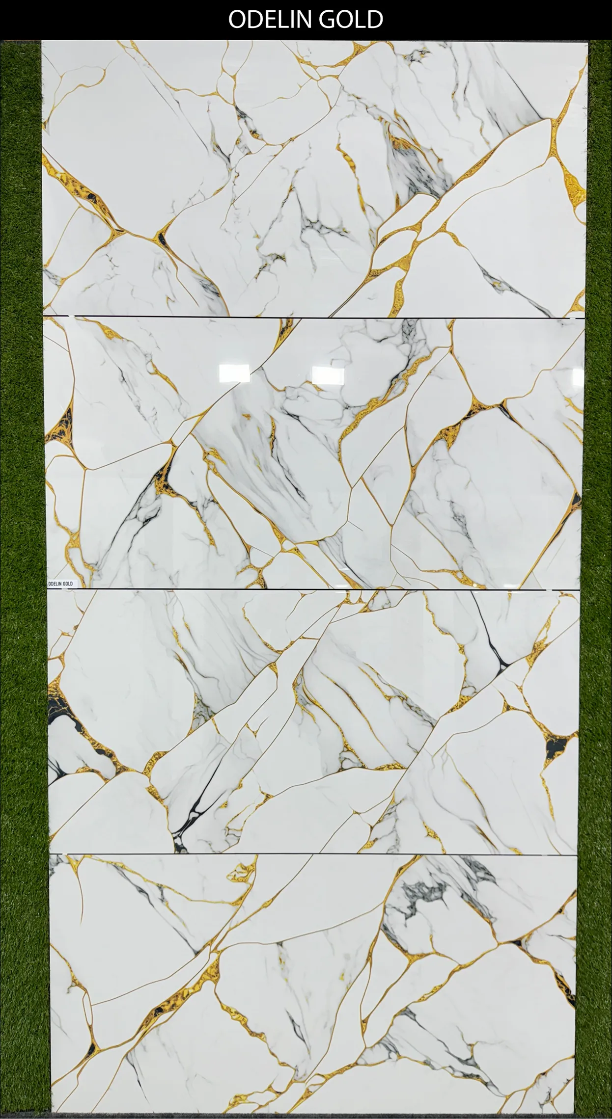 LIVE PHOTO (NEW COLLECTION) - Design 7 - 600x1200mm Glossy