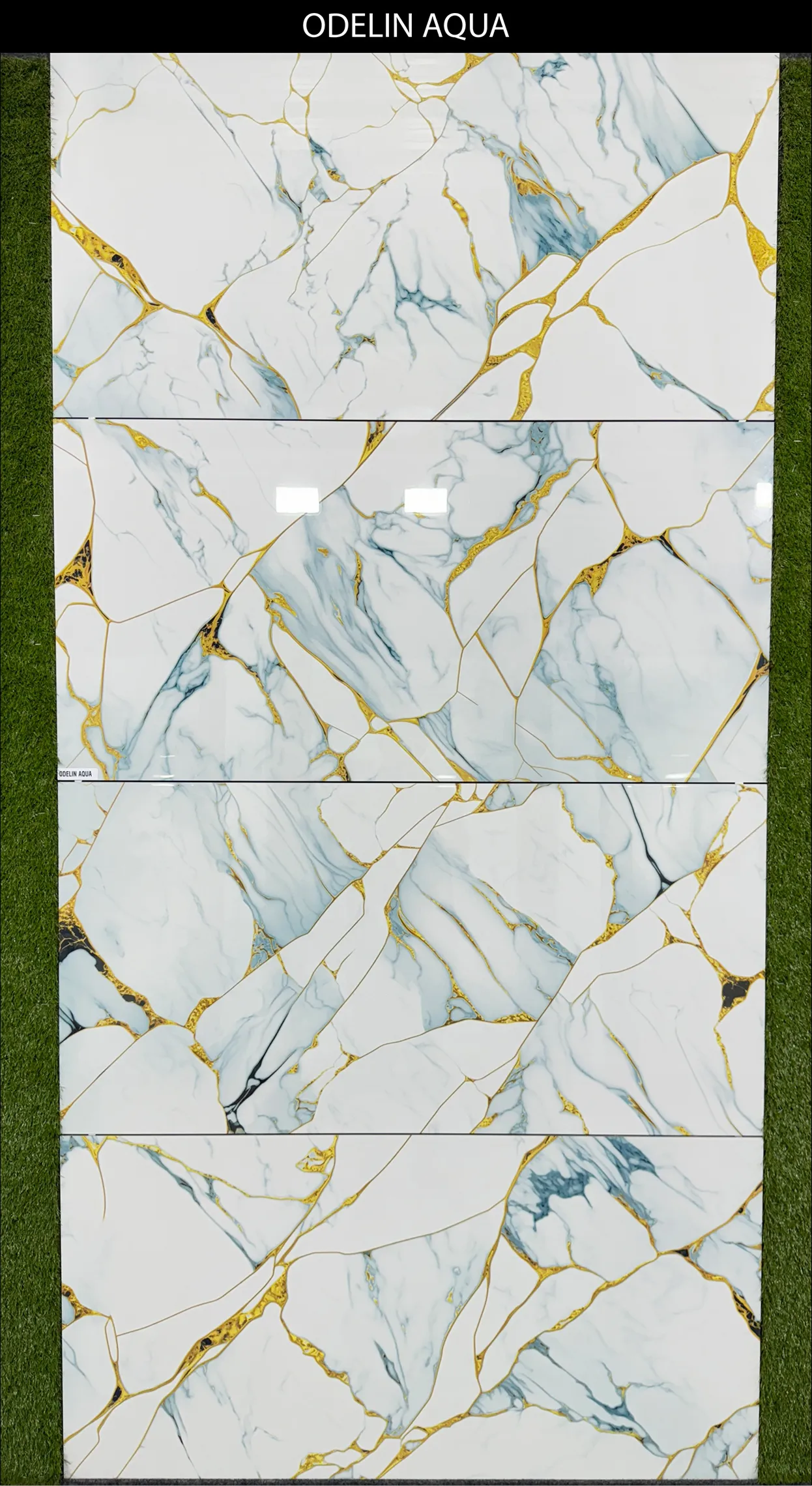 LIVE PHOTO (NEW COLLECTION) - Design 8 - 600x1200mm Glossy