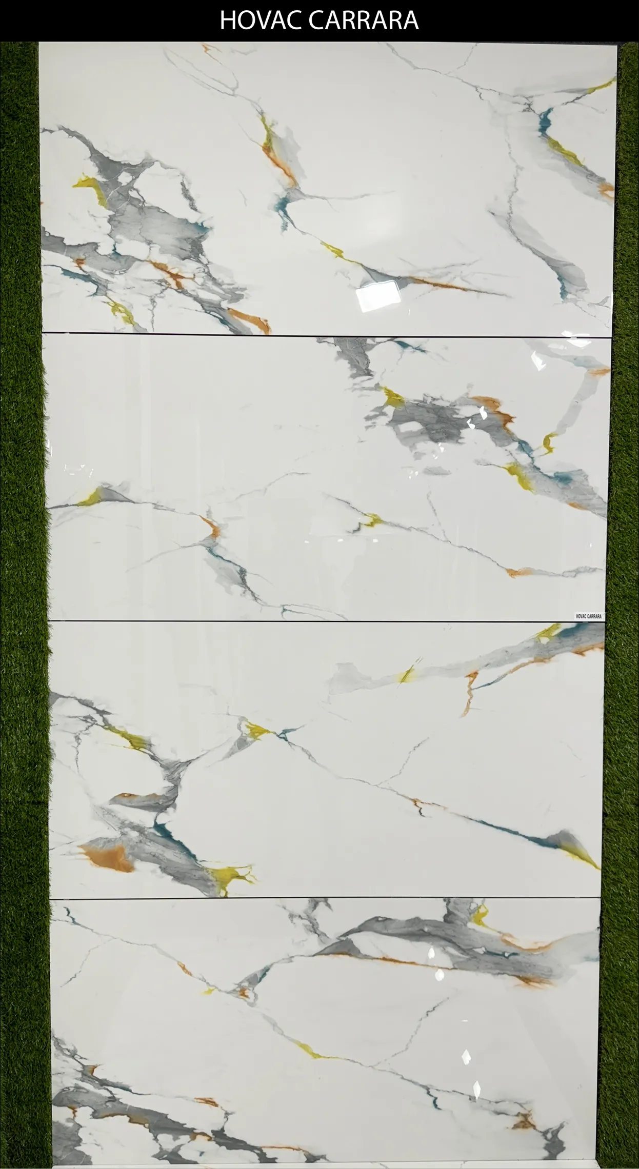LIVE PHOTO (NEW COLLECTION) - Design 9 - 600x1200mm Glossy