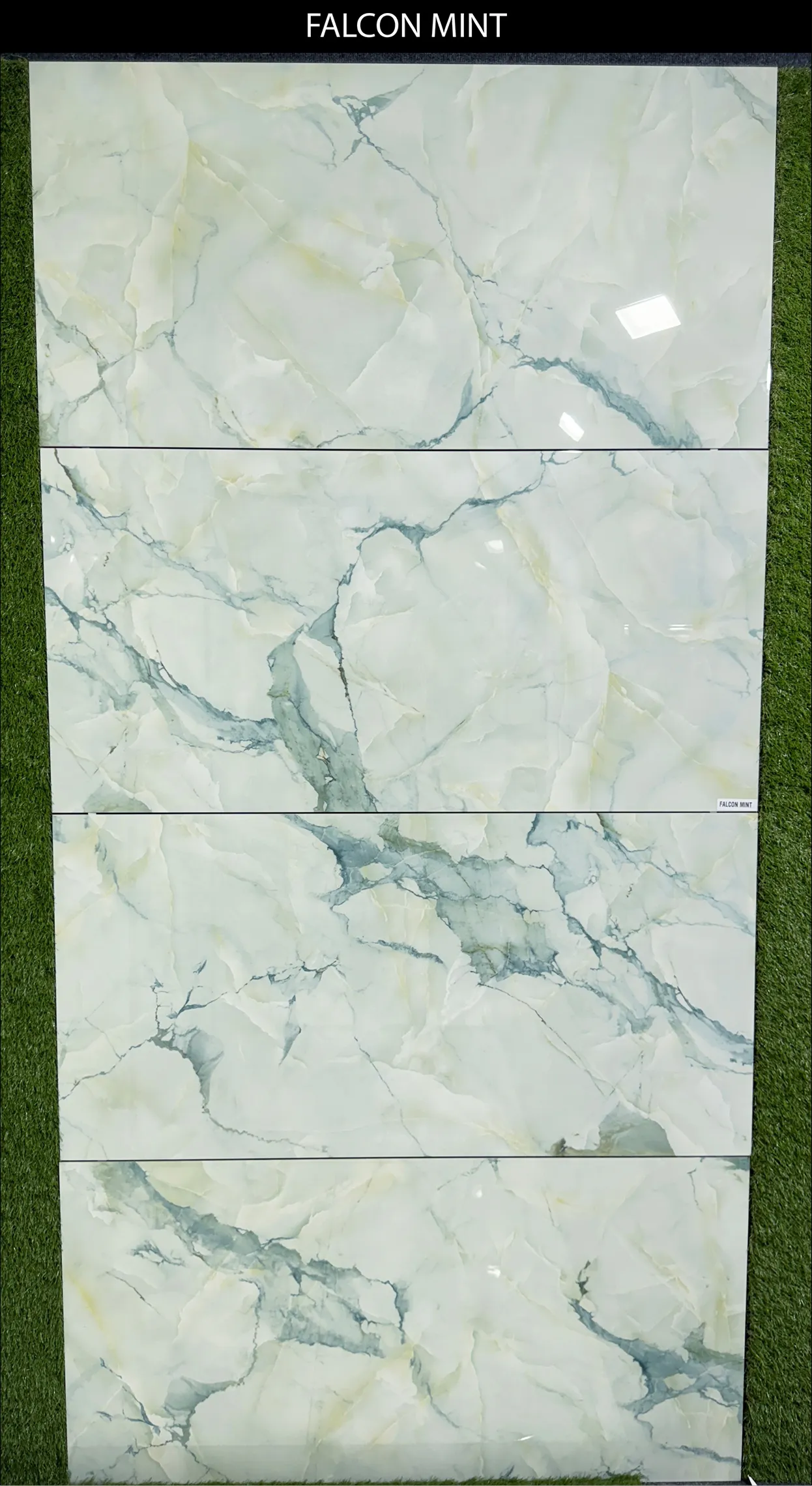 LIVE PHOTO (NEW COLLECTION) - Design 14 - 600x1200mm Glossy
