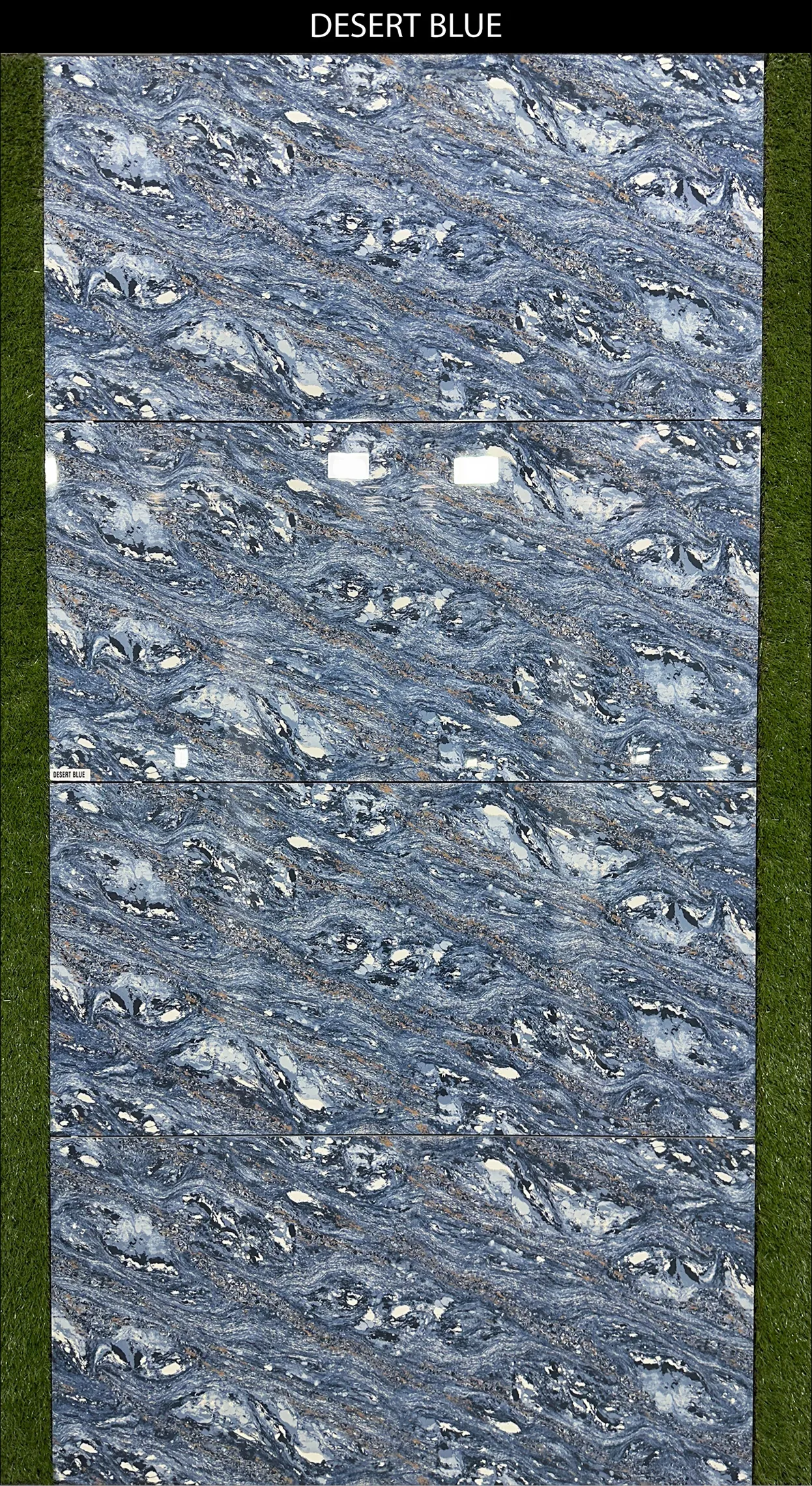 LIVE PHOTO (NEW COLLECTION) - Design 18 - 600x1200mm Glossy