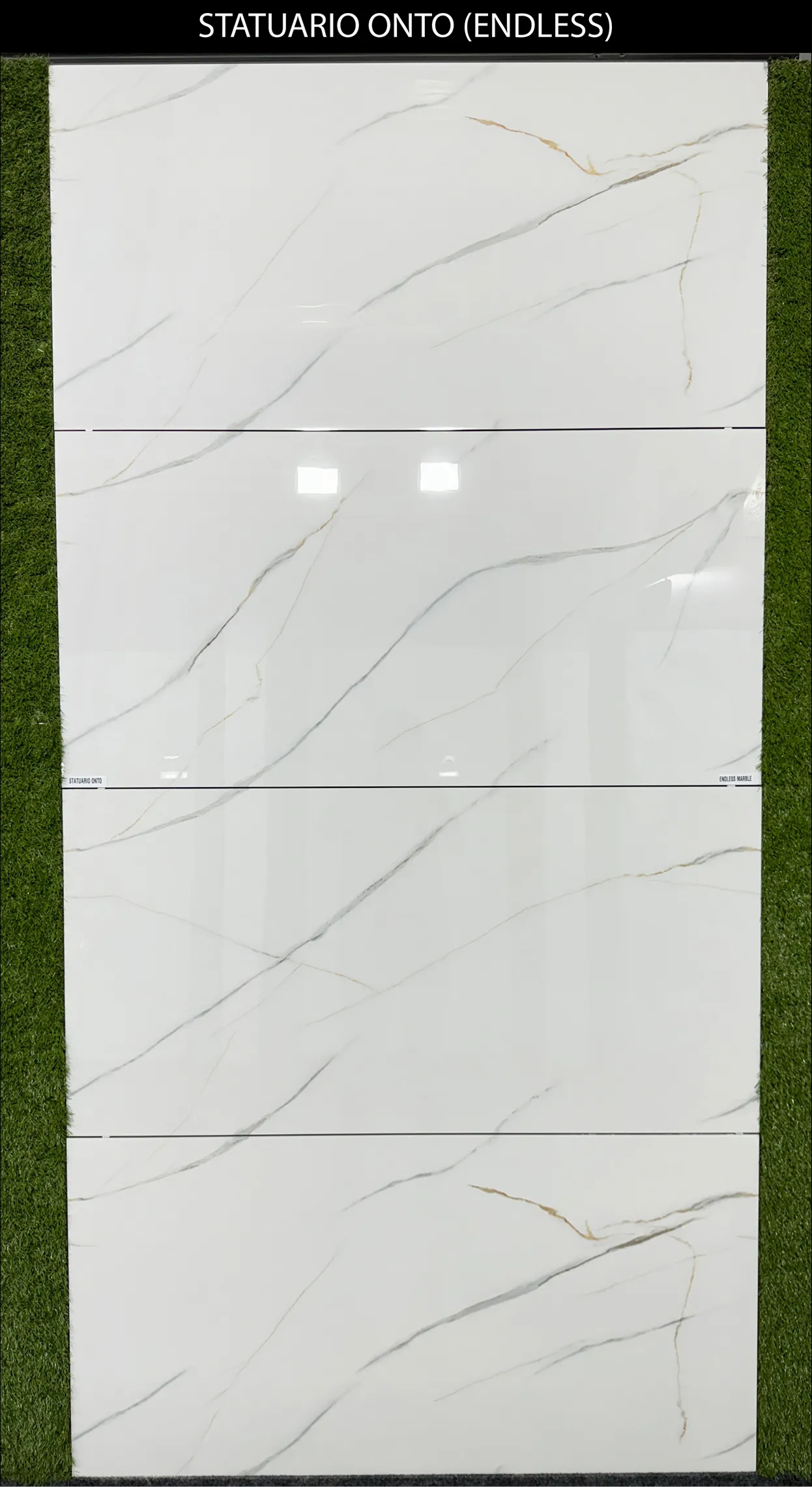 LIVE PHOTO (NEW COLLECTION) - Design 19 - 600x1200mm Glossy