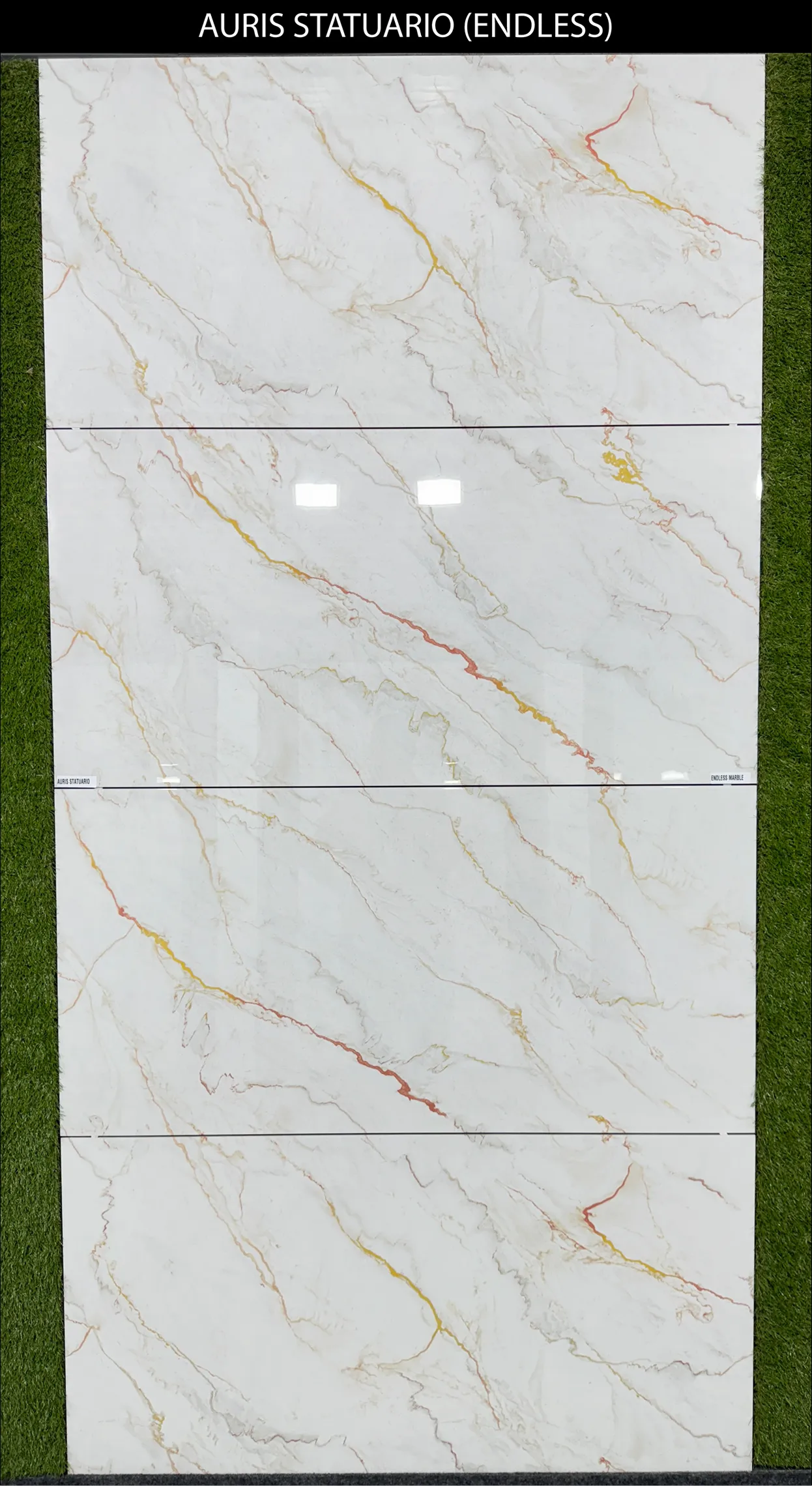 LIVE PHOTO (NEW COLLECTION) - Design 20 - 600x1200mm Glossy
