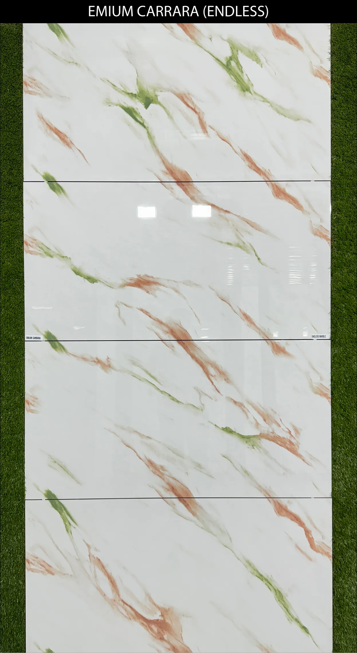 LIVE PHOTO (NEW COLLECTION) - Design 21 - 600x1200mm Glossy