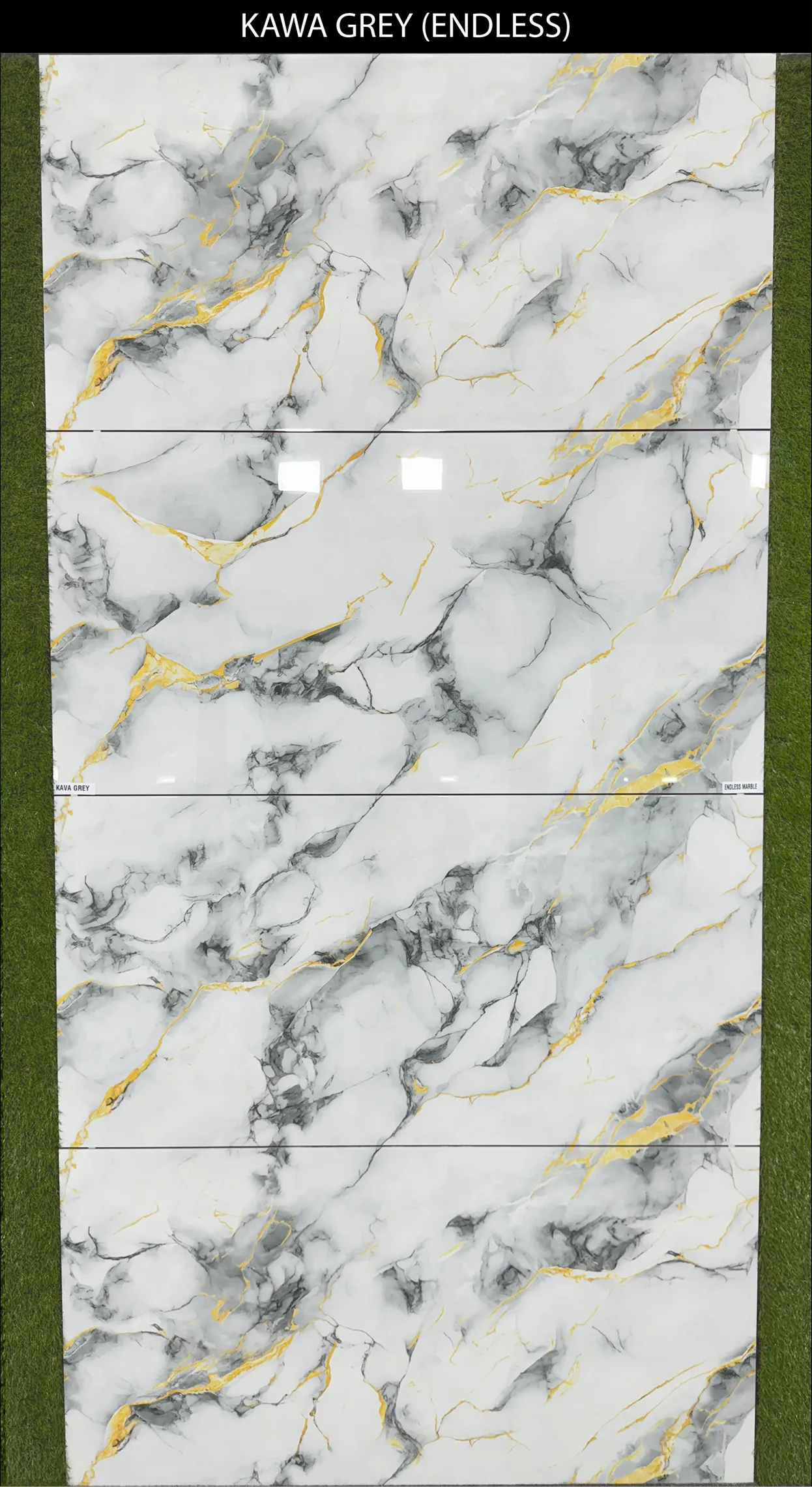 LIVE PHOTO (NEW COLLECTION) - Design 26 - 600x1200mm Glossy