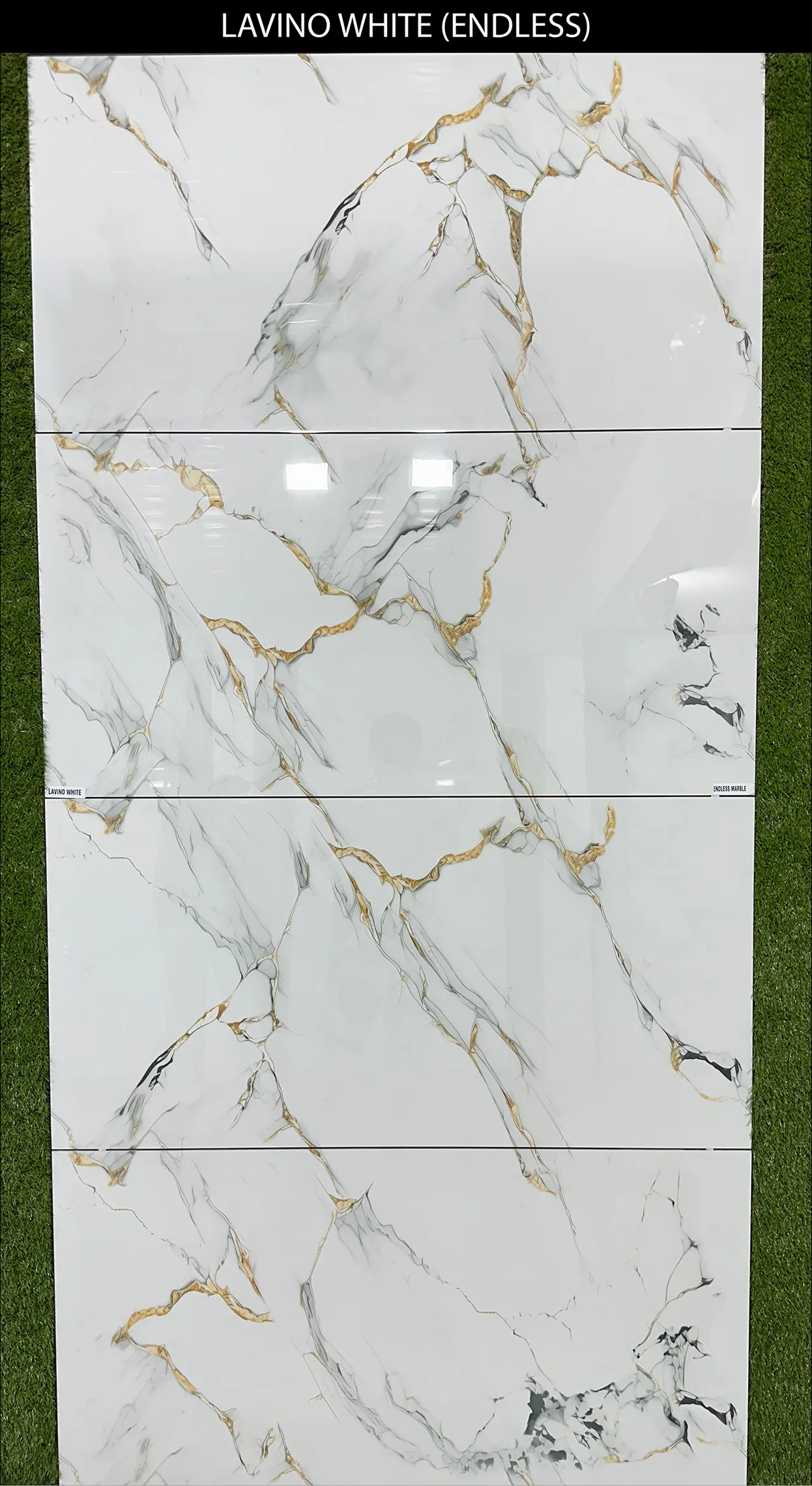 LIVE PHOTO (NEW COLLECTION) - Design 27 - 600x1200mm Glossy