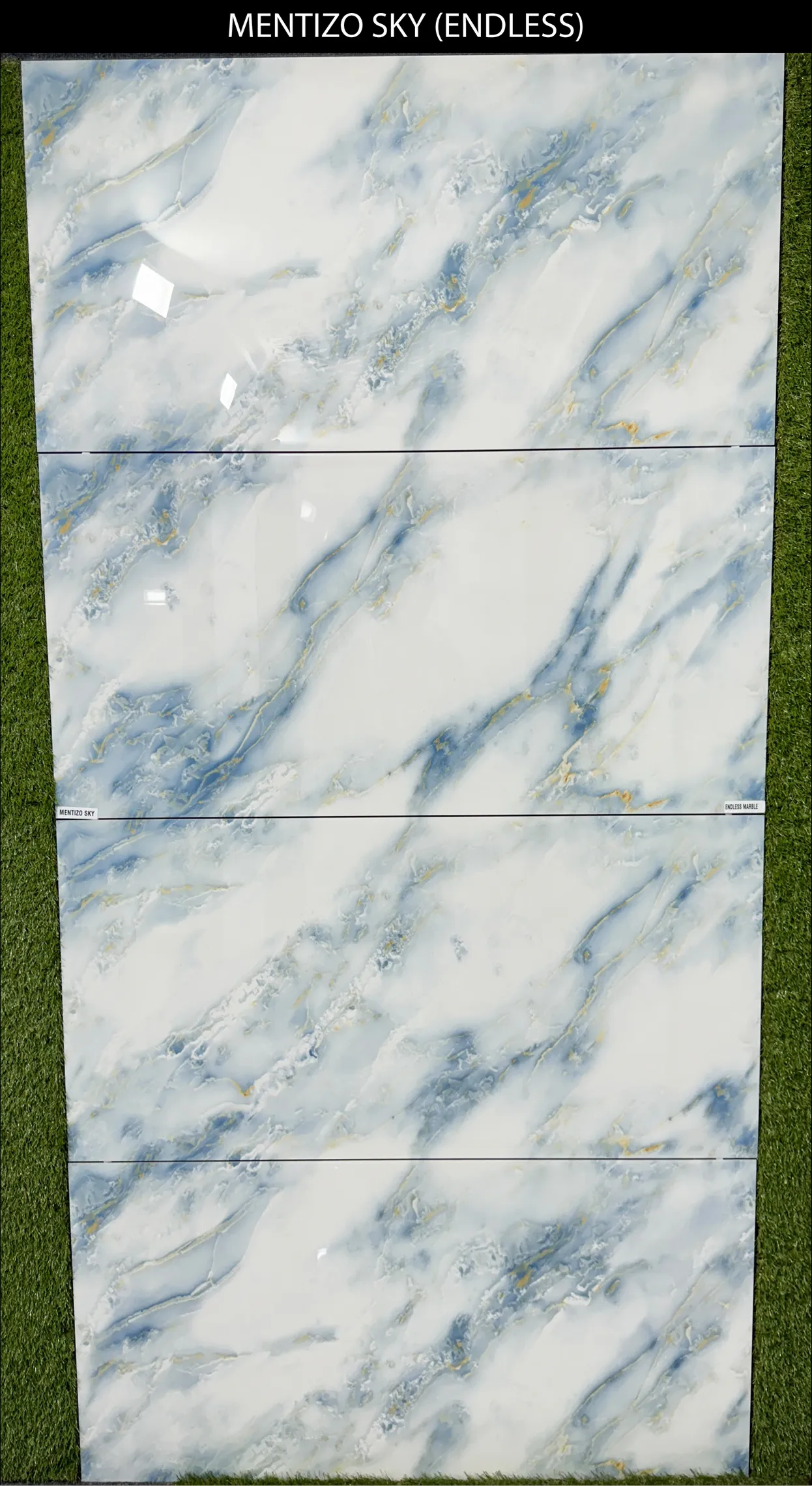 LIVE PHOTO (NEW COLLECTION) - Design 29 - 600x1200mm Glossy