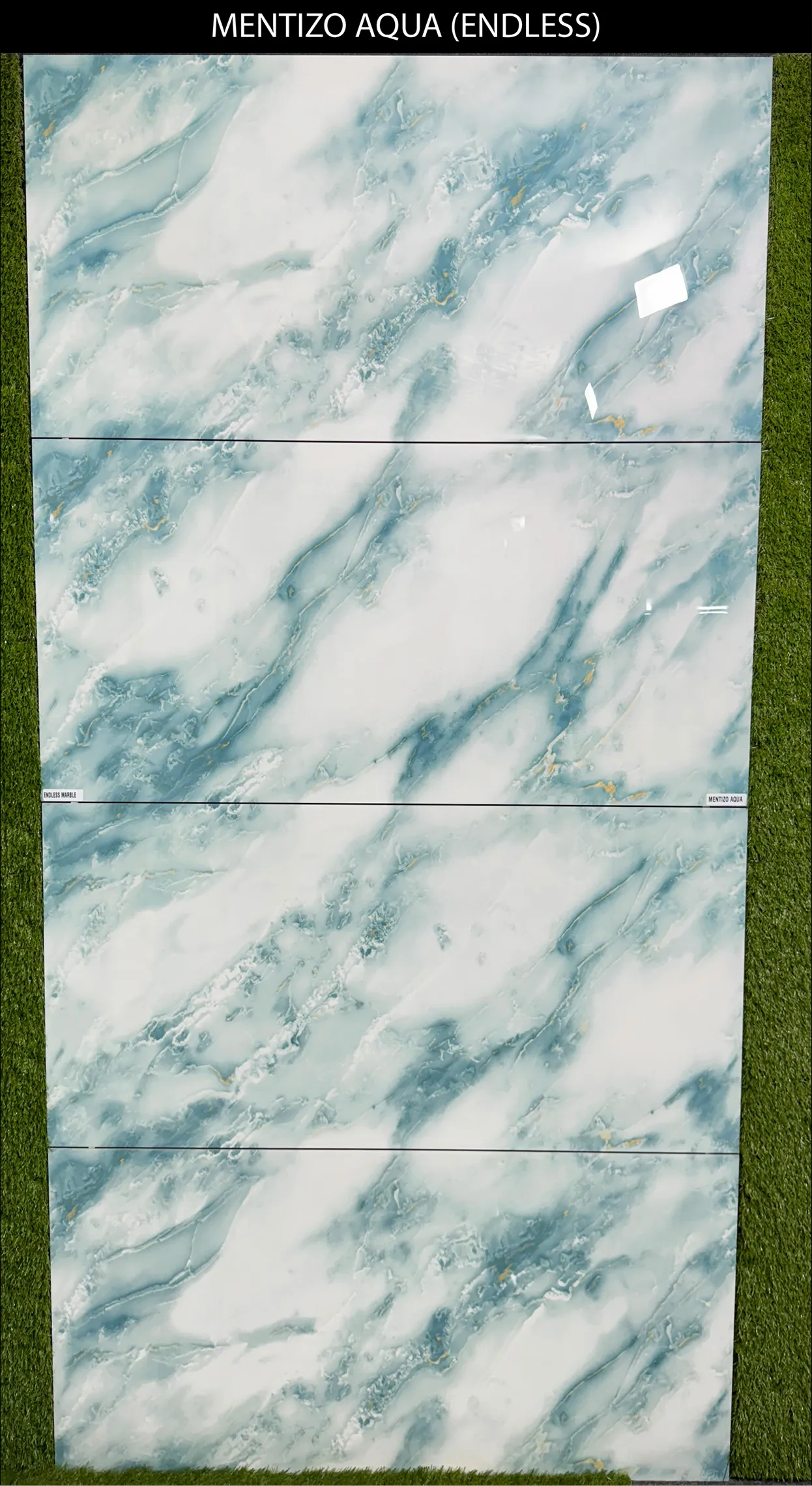 LIVE PHOTO (NEW COLLECTION) - Design 30 - 600x1200mm Glossy