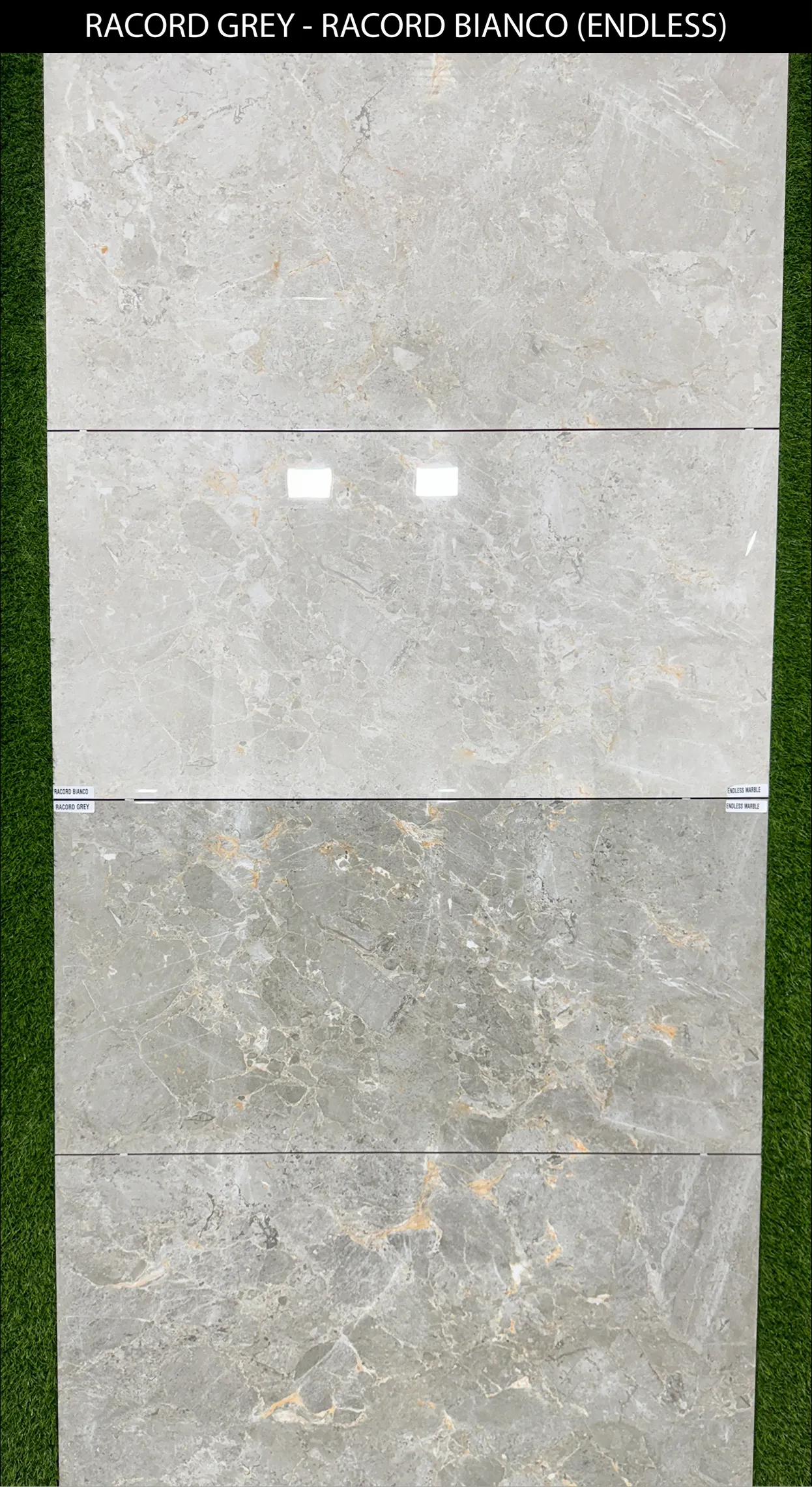LIVE PHOTO (NEW COLLECTION) - Design 34 - 600x1200mm Glossy