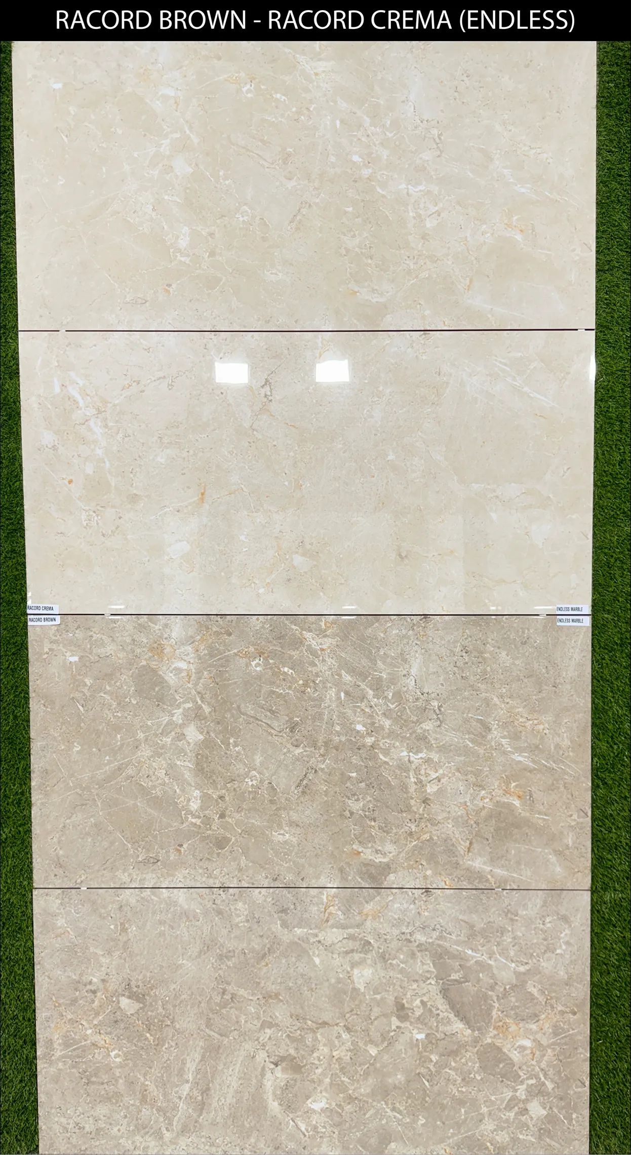 LIVE PHOTO (NEW COLLECTION) - Design 35 - 600x1200mm Glossy