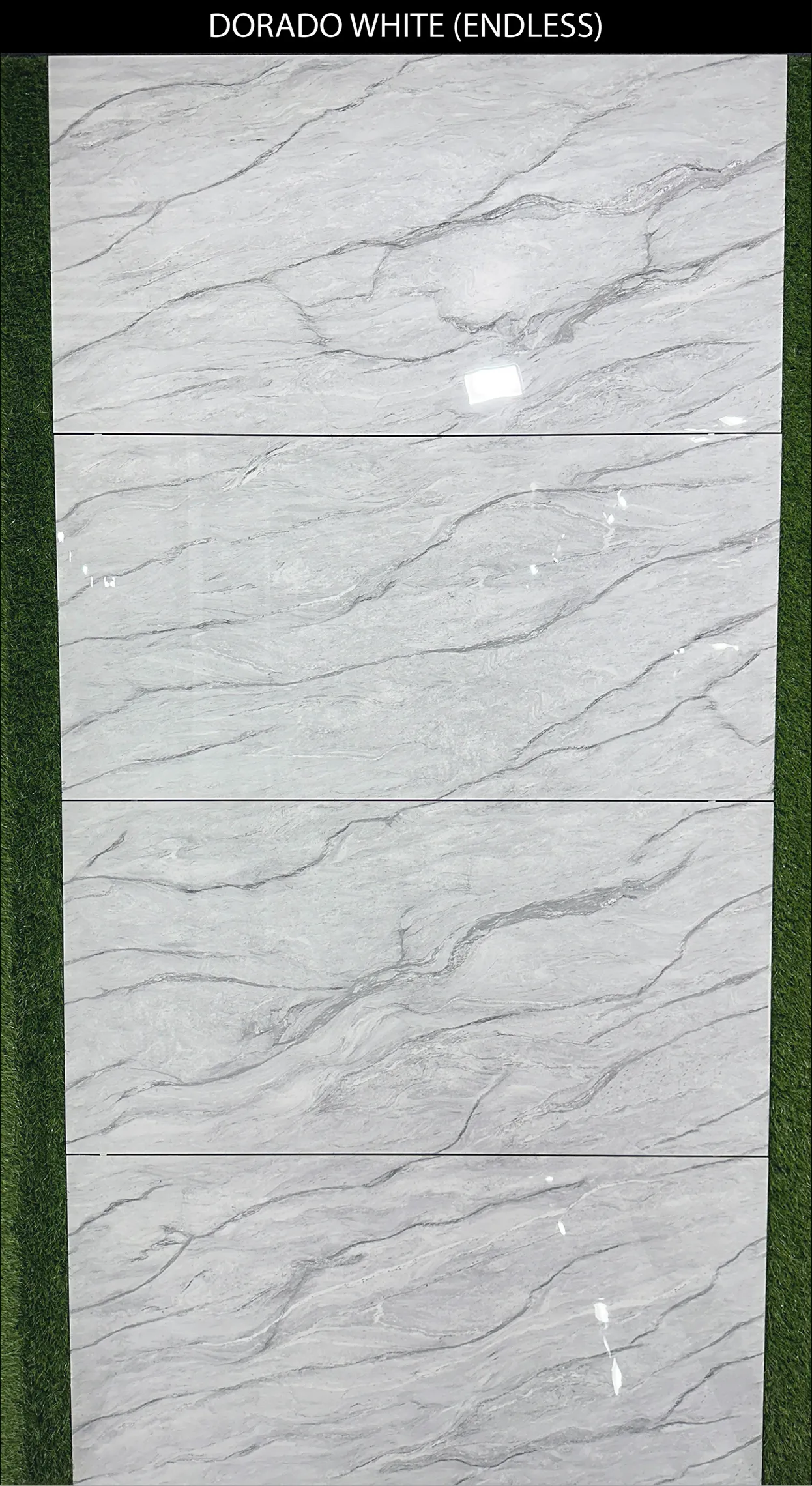 LIVE PHOTO (NEW COLLECTION) - Design 36 - 600x1200mm Glossy
